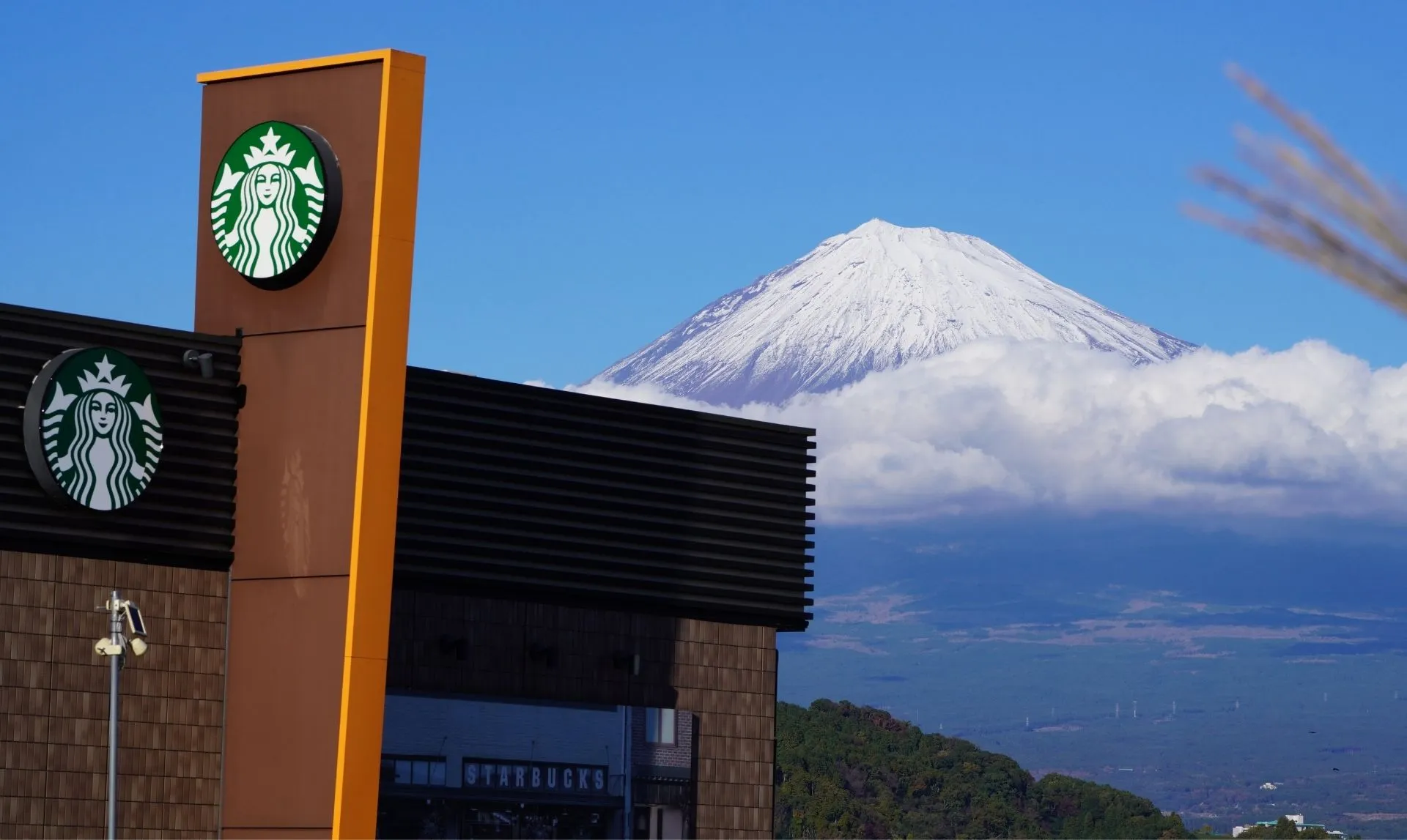 Fuji at starbuck